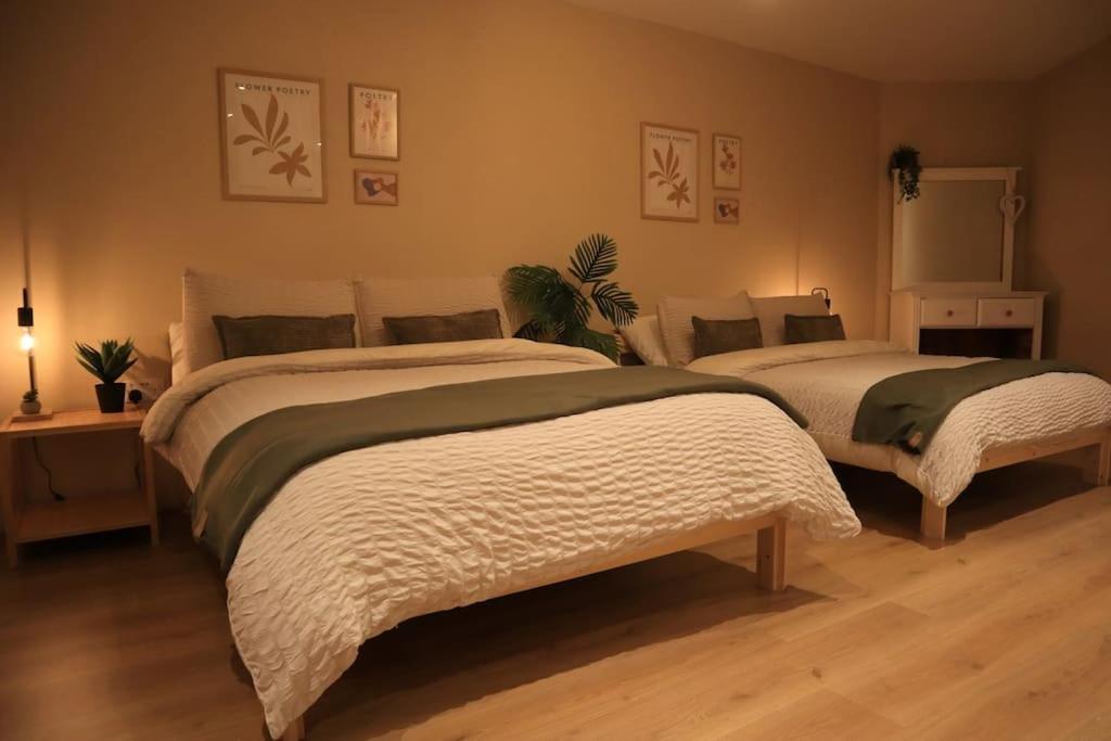 Modern Studio Apartment In Cashel คาเชล ภายนอก รูปภาพ